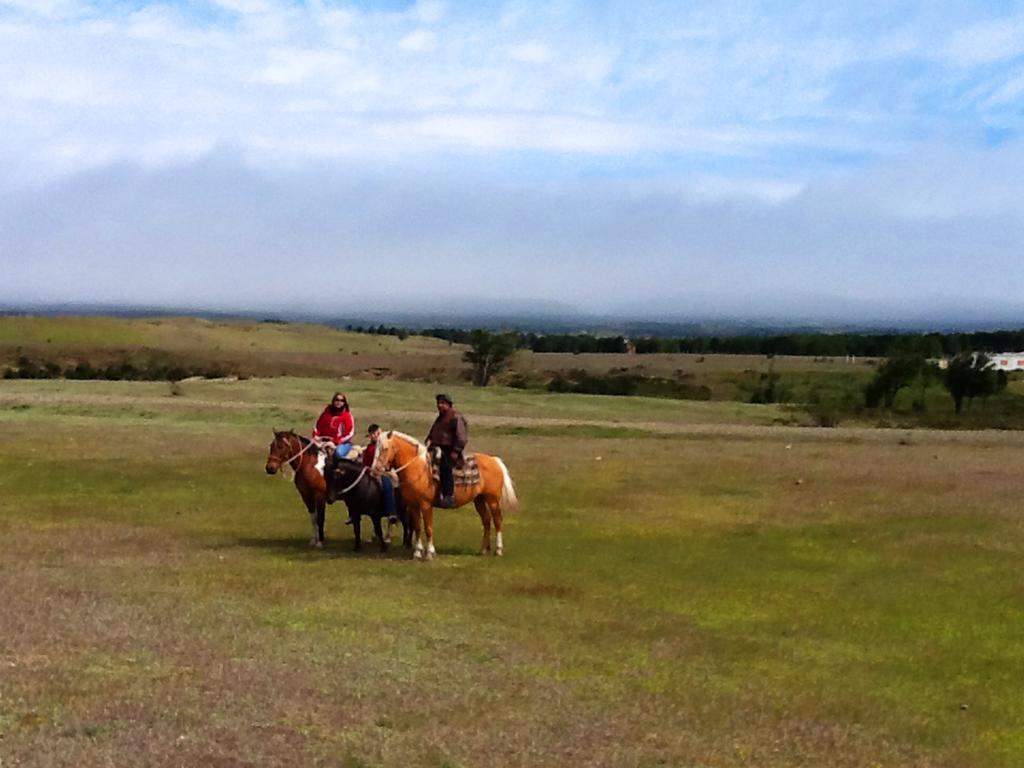 Estancia Rio De Los Ciervos 푼타아레나스 외부 사진